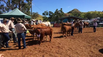 Foire de Bourail 2017