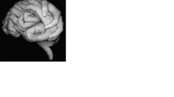 Le pouvoir nuit-il gravement au cerveau ? crédit Day For Night