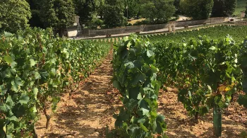 Château de Santenay 71