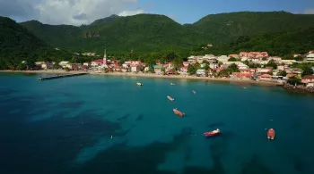 ALLEZ SAVOIR, EN MARTINIQUE LES TORTUES SE CACHENT POUR GRANDIR