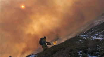 Le brûlage, une technique des forestiers-sapeurs pour lutter contre les incendies