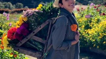 ÉCHAPPÉES BELLES