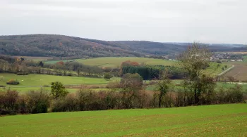Paysage Haute-Saône