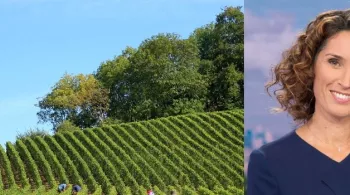 jour de vendanges