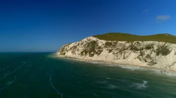 Gris nez