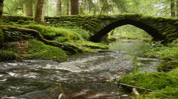 rivière