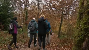 Randonneurs dans forêt