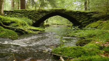 La rivière 
