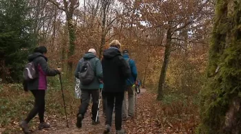 Randonneurs dans la forêt / © Denis Colle, France 3 Franche-Comté