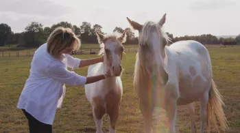 Le bonheur au galop