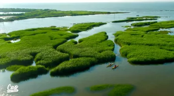 Bassin d'Arcachon