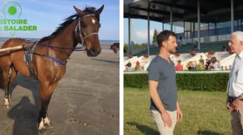 HDSB : Les fous de l'hippodrome