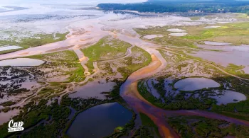 bassin d'Arcachon