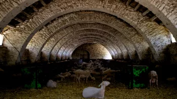 ©Elzévir Films - Arte France Cinéma