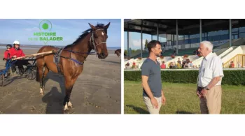 Les fous de l'hippodrome