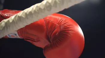 Boxe - Championnat du monde WBF