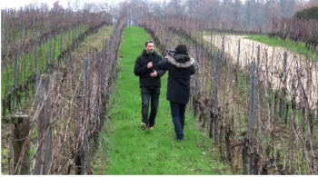Castillon