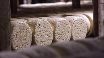 LE ROQUEFORT, TOUT UN FROMAGE !