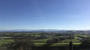 Txirrita