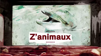 Z'animaux