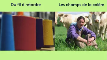 Soirée documentaires
