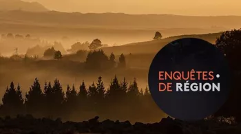 Enquêtes de région