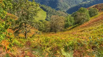 Arrière Pays Basque