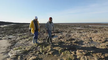 France et Guillaume à la pêche à marée basse