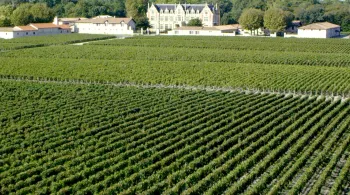 Voyage au cœur du vignoble bordelais