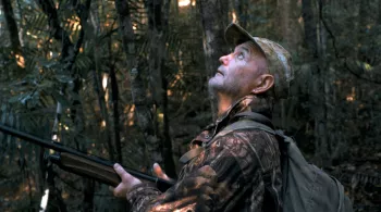 dans les pas...des chasseurs d'or vert