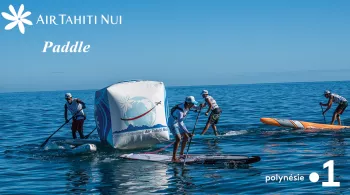 ATN PADDLE 2019