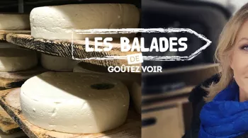 Balades GV