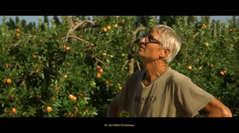 Les fruits d'une vie