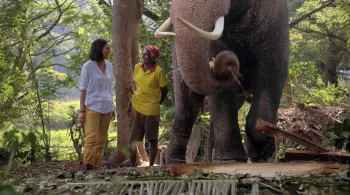 FAUT PAS RÊVER AU SRI LANKA ET EN SICILE 