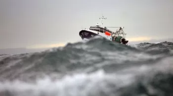 WAIT AND SEA