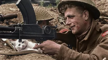 39-45, les animaux dans la guerre