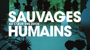 Affiche Sauvages, au coeur des zoos humains