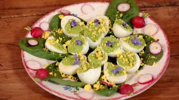 effeuillé d'oeuf au cresson 