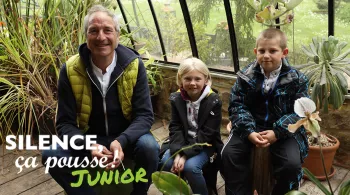 SCP Junior