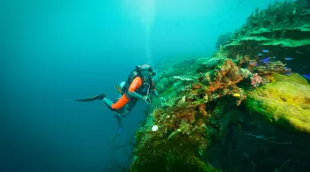 TARA EXPEDITIONS