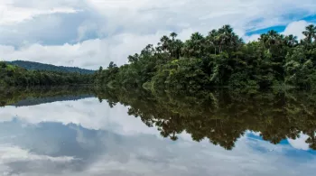 © GUYON Nathalie / FTV