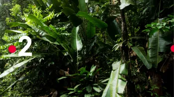 © GUYON Nathalie / FTV