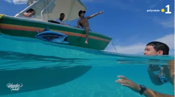 Islander's Tahiti S3 - n°17