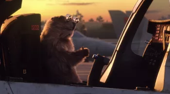 les marmottes TOP GUN