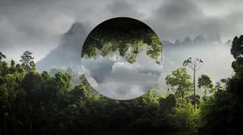 COP24