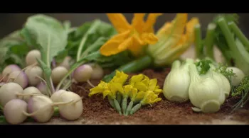mini legumes