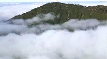 l'esprit de la terre, le kaori du mont panié