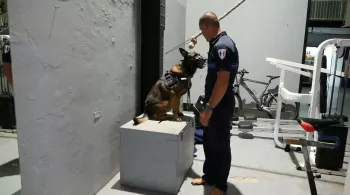 IMMERSION EN OUTRE-MER: NOUVELLE-CALEDONIE