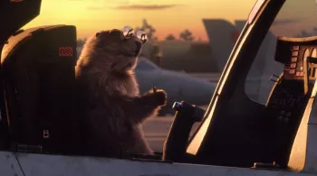 Marmottes