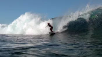 DLP surfeurs